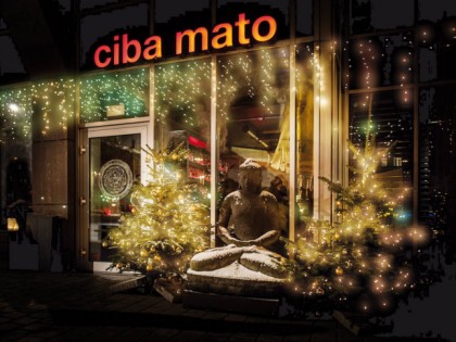 照片: Ciba Mato